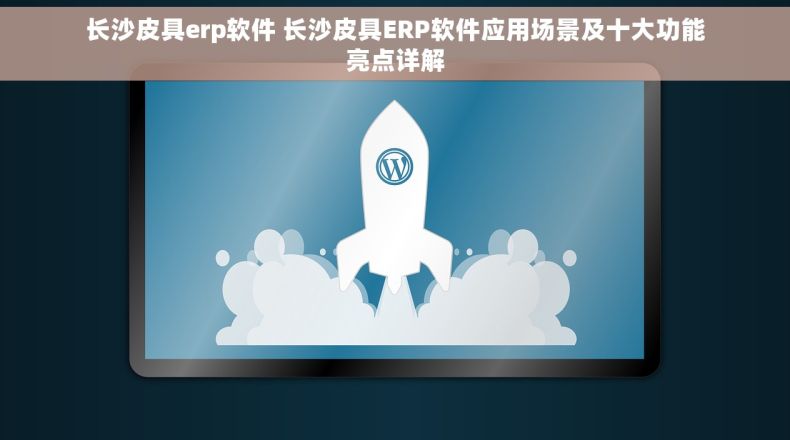 长沙皮具erp软件 长沙皮具ERP软件应用场景及十大功能亮点详解
