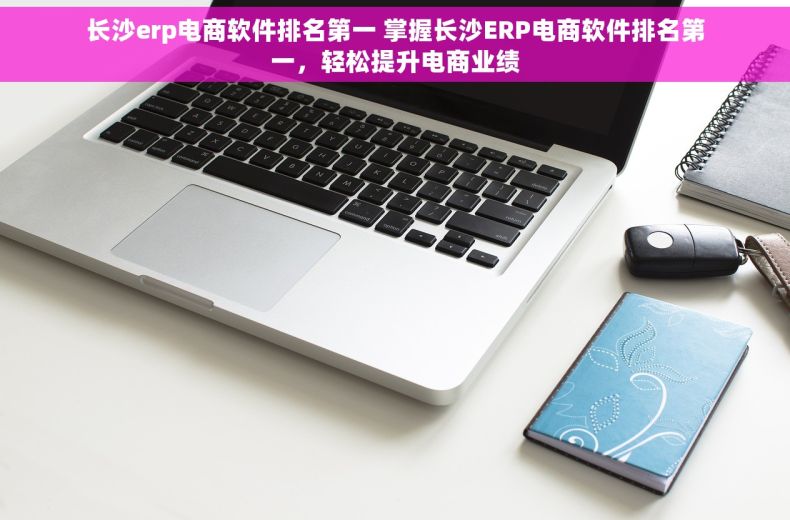长沙erp电商软件排名第一 掌握长沙ERP电商软件排名第一，轻松提升电商业绩