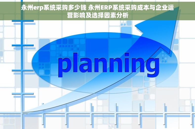 永州erp系统采购多少钱 永州ERP系统采购成本与企业运营影响及选择因素分析