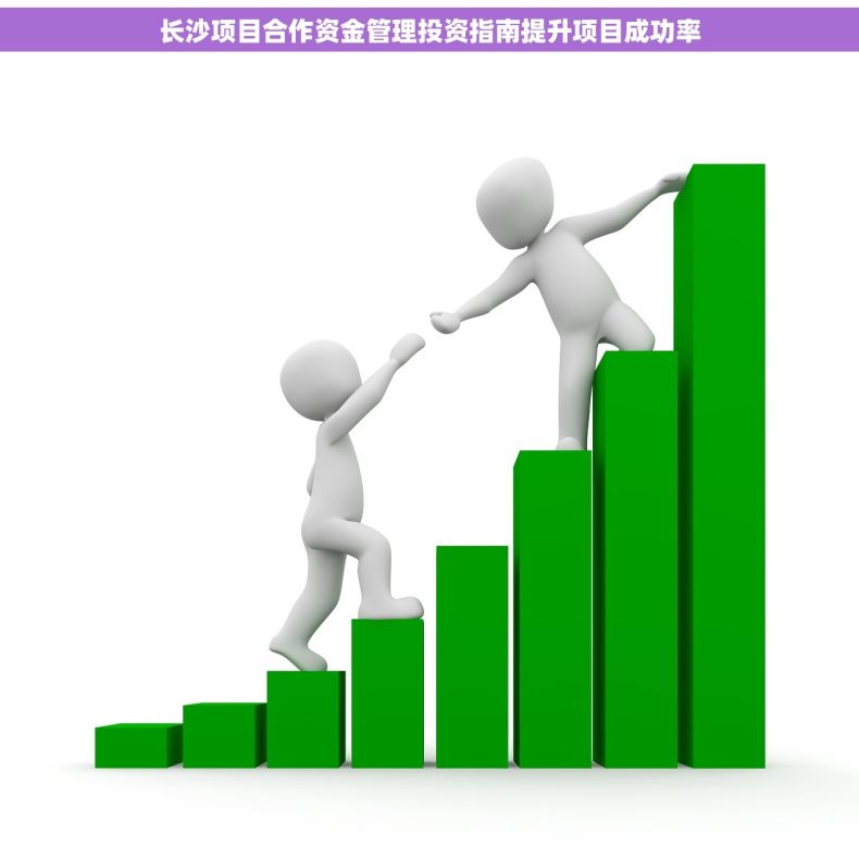 长沙项目合作资金管理投资指南提升项目成功率
