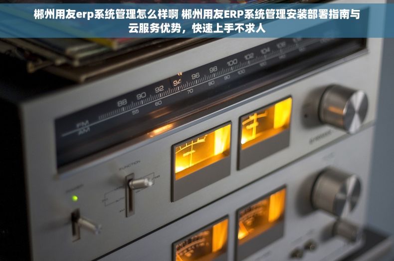 郴州用友erp系统管理怎么样啊 郴州用友ERP系统管理安装部署指南与云服务优势，快速上手不求人