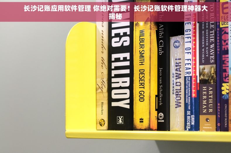 长沙记账应用软件管理 你绝对需要！长沙记账软件管理神器大揭秘