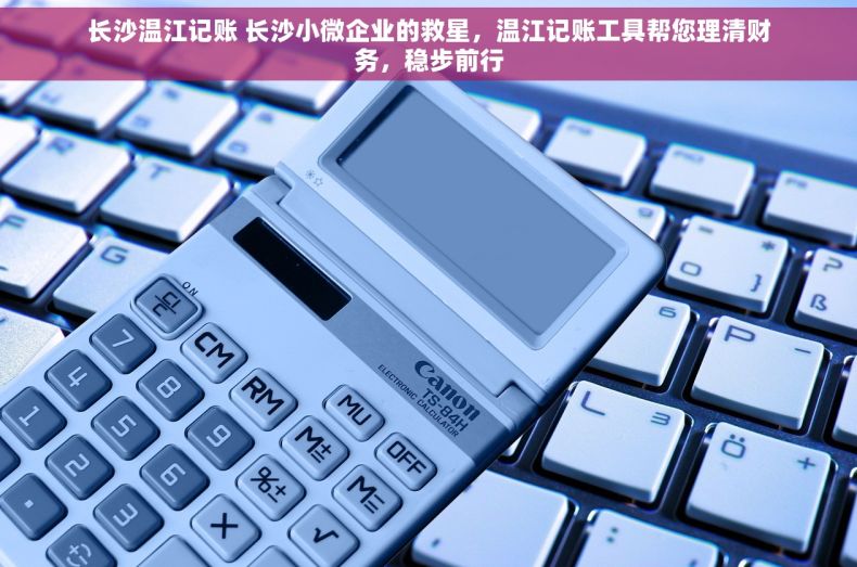 长沙温江记账 长沙小微企业的救星，温江记账工具帮您理清财务，稳步前行