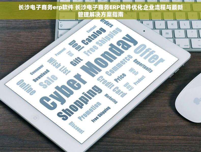 长沙电子商务erp软件 长沙电子商务ERP软件优化企业流程与最新管理解决方案指南