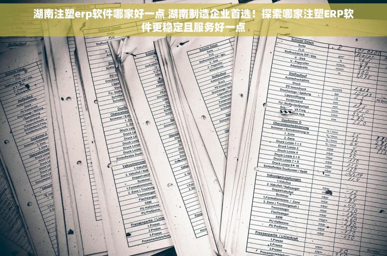 湖南注塑erp软件哪家好一点 湖南制造企业首选！探索哪家注塑ERP软件更稳定且服务好一点