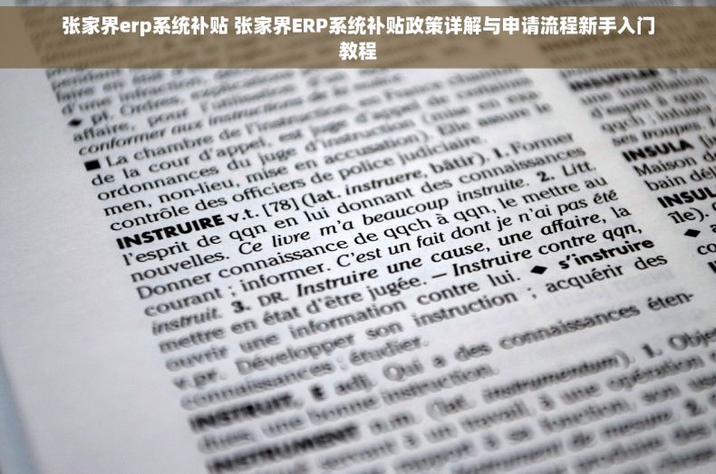张家界erp系统补贴 张家界ERP系统补贴政策详解与申请流程新手入门教程