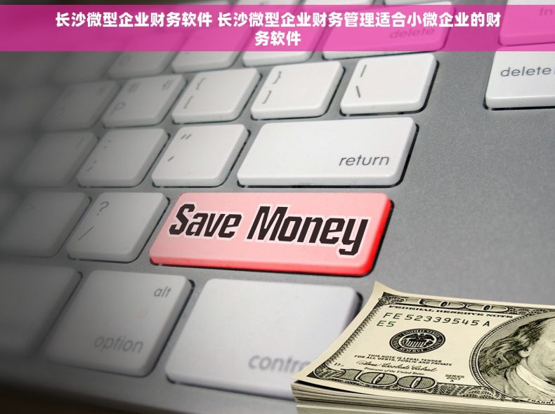 长沙微型企业财务软件 长沙微型企业财务管理适合小微企业的财务软件