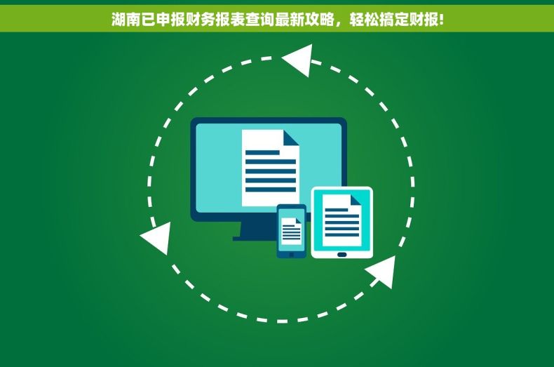湖南已申报财务报表查询最新攻略，轻松搞定财报!