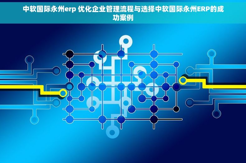中软国际永州erp 优化企业管理流程与选择中软国际永州ERP的成功案例