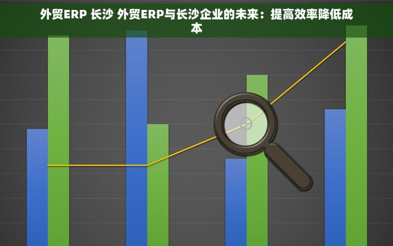外贸ERP 长沙 外贸ERP与长沙企业的未来：提高效率降低成本
