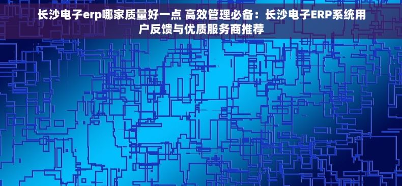 长沙电子erp哪家质量好一点 高效管理必备：长沙电子ERP系统用户反馈与优质服务商推荐