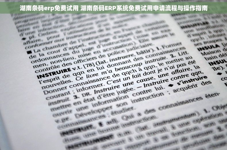 湖南条码erp免费试用 湖南条码ERP系统免费试用申请流程与操作指南