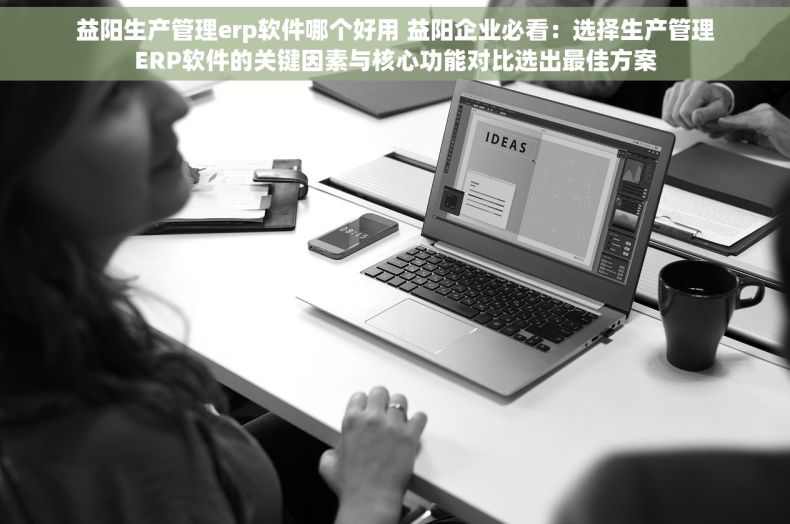 益阳生产管理erp软件哪个好用 益阳企业必看：选择生产管理ERP软件的关键因素与核心功能对比选出最佳方案