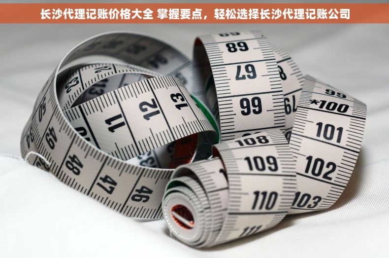 长沙代理记账价格大全 掌握要点，轻松选择长沙代理记账公司