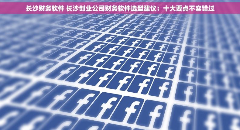 长沙财务软件 长沙创业公司财务软件选型建议：十大要点不容错过