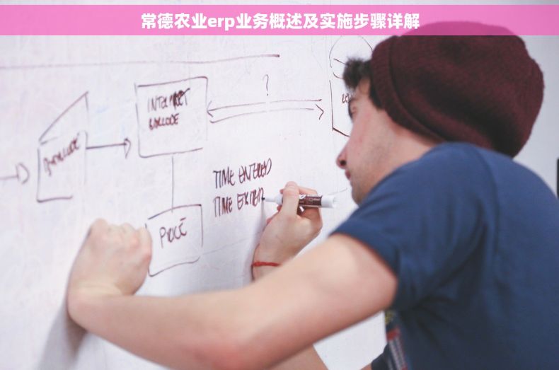 常德农业erp业务概述及实施步骤详解
