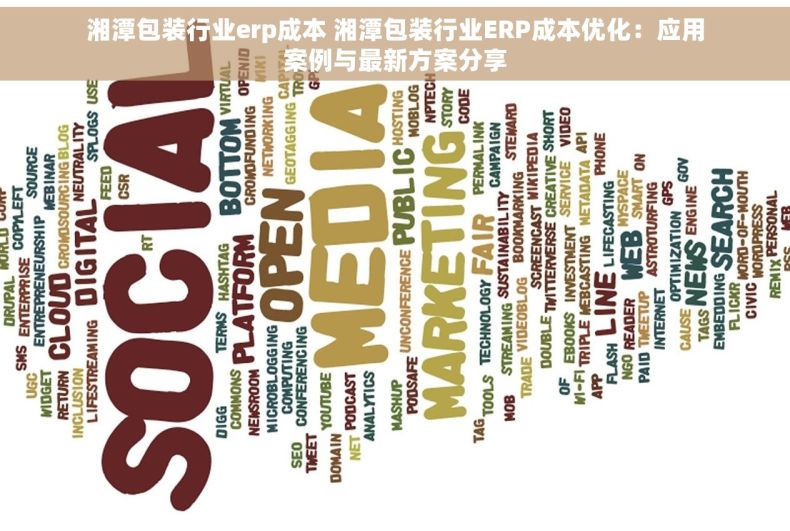 湘潭包装行业erp成本 湘潭包装行业ERP成本优化：应用案例与最新方案分享