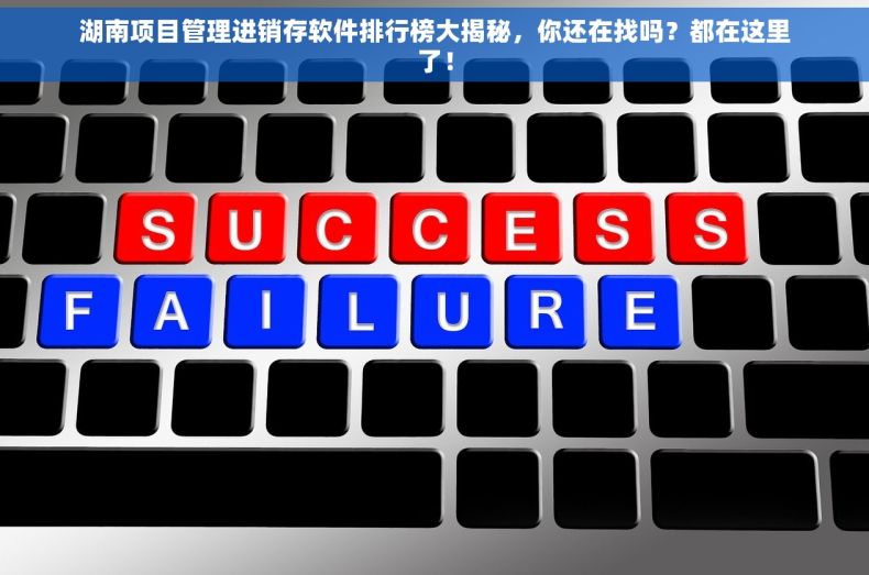 湖南项目管理进销存软件排行榜大揭秘，你还在找吗？都在这里了！