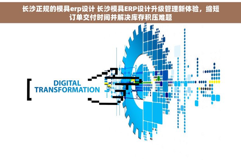 长沙正规的模具erp设计 长沙模具ERP设计升级管理新体验，缩短订单交付时间并解决库存积压难题
