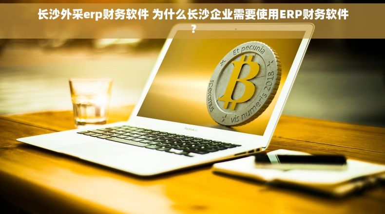 长沙外采erp财务软件 为什么长沙企业需要使用ERP财务软件？