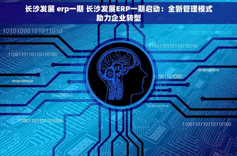 长沙发展 erp一期 长沙发展ERP一期启动：全新管理模式助力企业转型