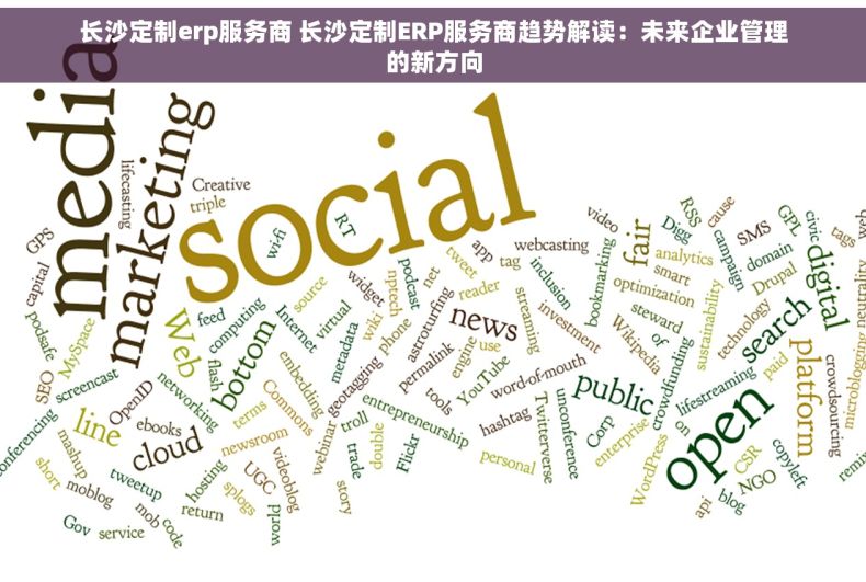 长沙定制erp服务商 长沙定制ERP服务商趋势解读：未来企业管理的新方向