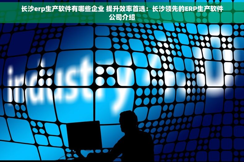 长沙erp生产软件有哪些企业 提升效率首选：长沙领先的ERP生产软件公司介绍