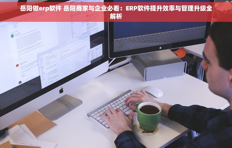 岳阳做erp软件 岳阳商家与企业必看：ERP软件提升效率与管理升级全解析