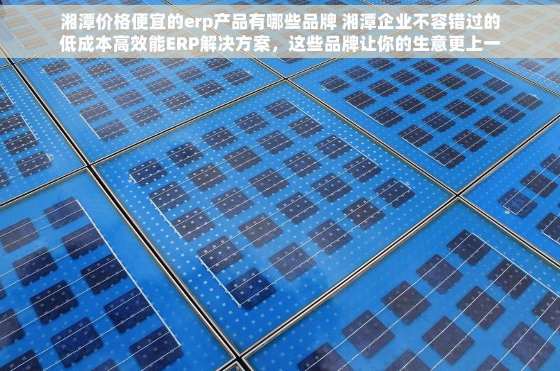 湘潭价格便宜的erp产品有哪些品牌 湘潭企业不容错过的低成本高效能ERP解决方案，这些品牌让你的生意更上一层楼