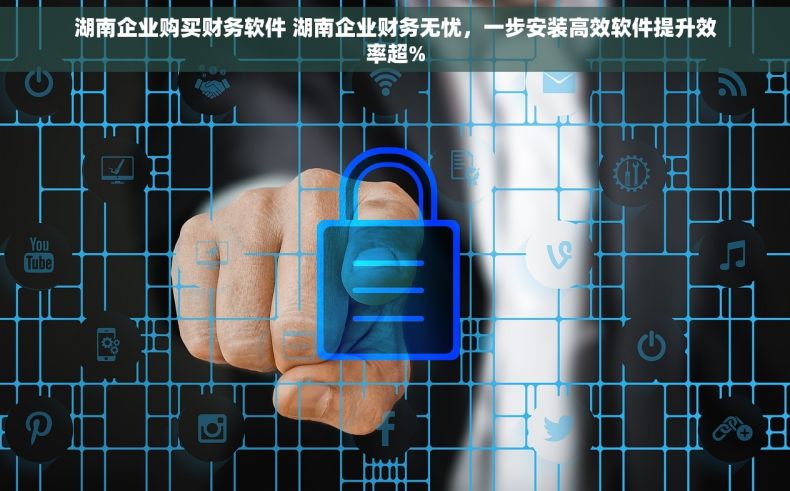 湖南企业购买财务软件 湖南企业财务无忧，一步安装高效软件提升效率超%