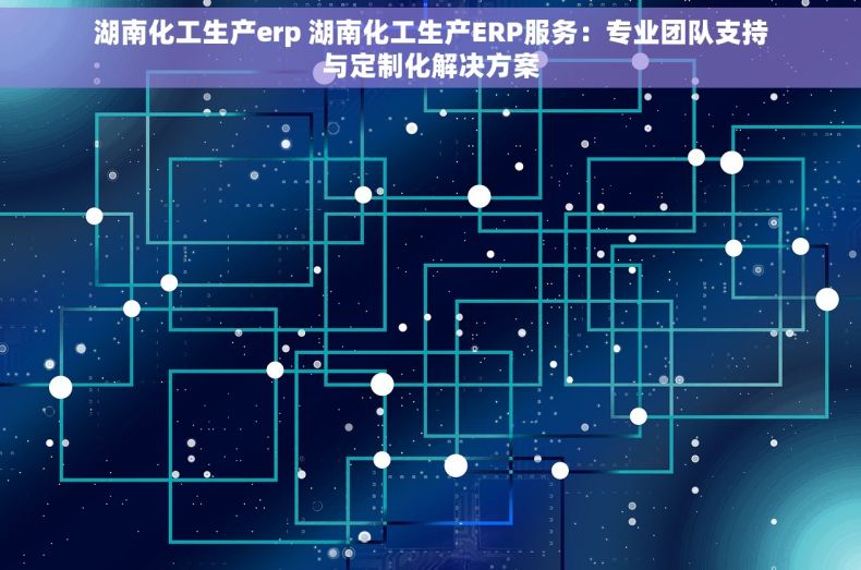 湖南化工生产erp 湖南化工生产ERP服务：专业团队支持与定制化解决方案