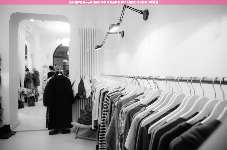 湖南品牌服装erp费用高吗现在 湖南品牌服装ERP费用分析及实施步骤详解