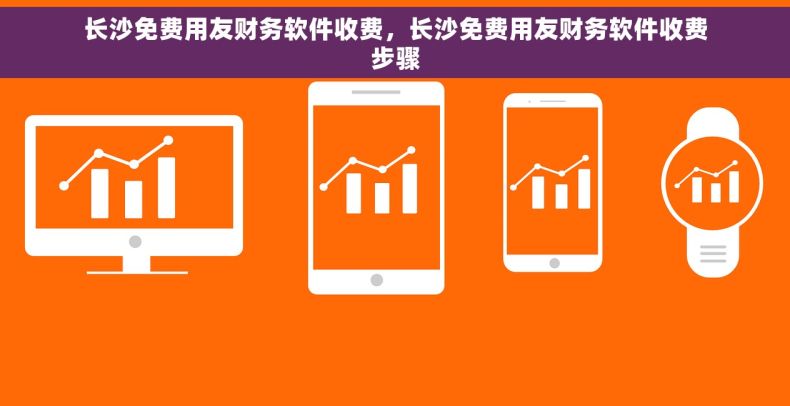 长沙免费用友财务软件收费，长沙免费用友财务软件收费步骤