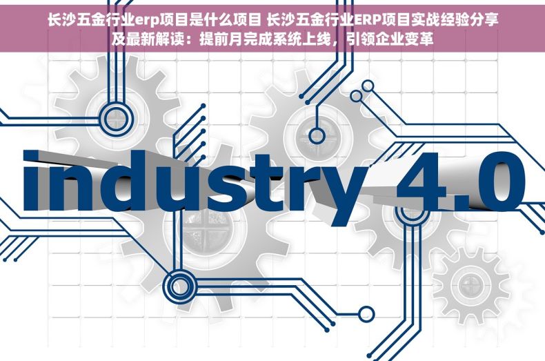 长沙五金行业erp项目是什么项目 长沙五金行业ERP项目实战经验分享及最新解读：提前月完成系统上线，引领企业变革