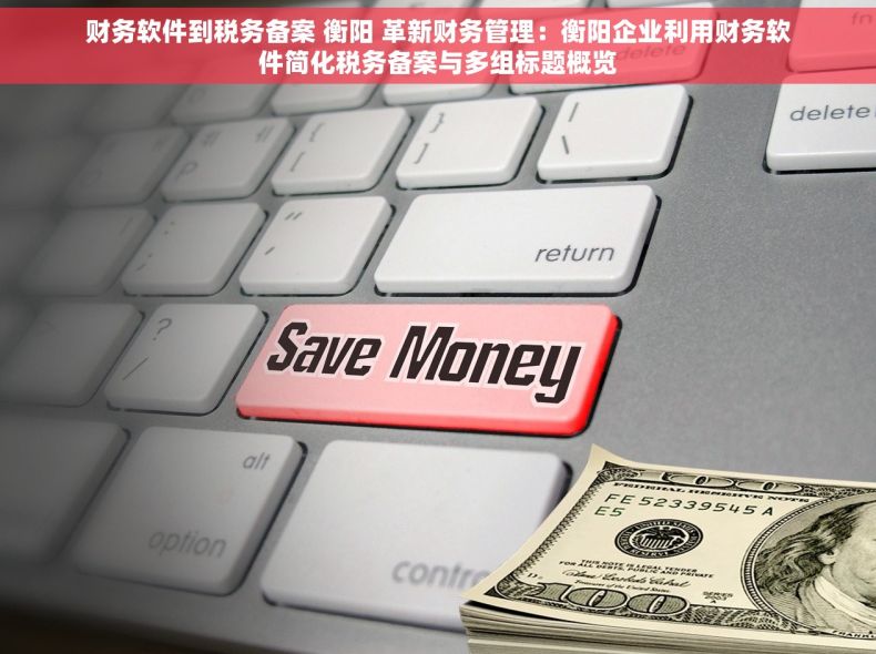 财务软件到税务备案 衡阳 革新财务管理：衡阳企业利用财务软件简化税务备案与多组标题概览