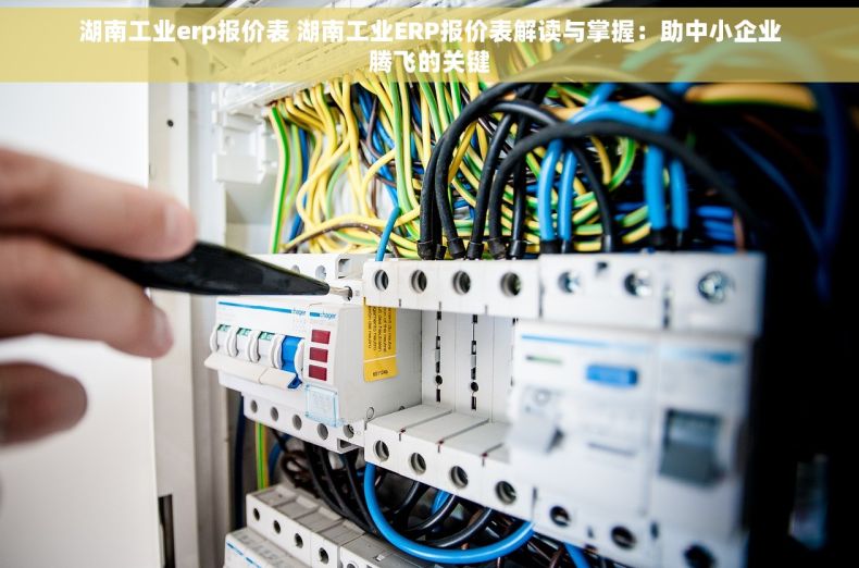 湖南工业erp报价表 湖南工业ERP报价表解读与掌握：助中小企业腾飞的关键