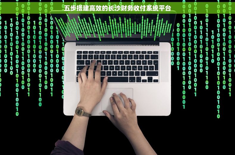 五步搭建高效的长沙财务收付系统平台