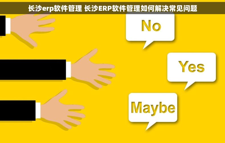 长沙erp软件管理 长沙ERP软件管理如何解决常见问题