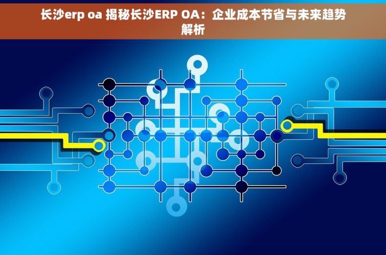 长沙erp oa 揭秘长沙ERP OA：企业成本节省与未来趋势解析