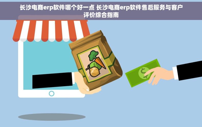 长沙电商erp软件哪个好一点 长沙电商erp软件售后服务与客户评价综合指南