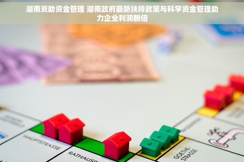 湖南资助资金管理 湖南政府最新扶持政策与科学资金管理助力企业利润翻倍