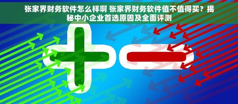 张家界财务软件怎么样啊 张家界财务软件值不值得买？揭秘中小企业首选原因及全面评测
