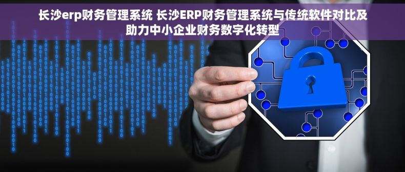 长沙erp财务管理系统 长沙ERP财务管理系统与传统软件对比及助力中小企业财务数字化转型