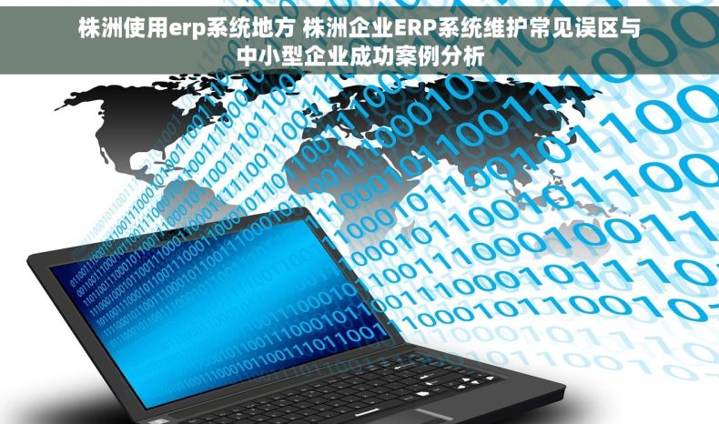 株洲使用erp系统地方 株洲企业ERP系统维护常见误区与中小型企业成功案例分析