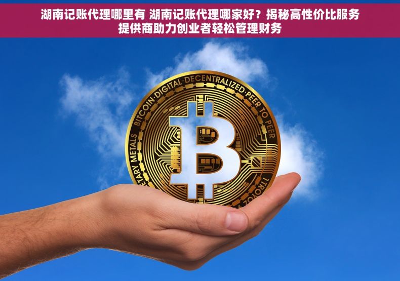湖南记账代理哪里有 湖南记账代理哪家好？揭秘高性价比服务提供商助力创业者轻松管理财务
