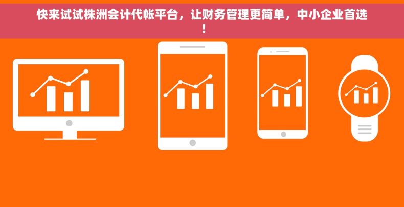 快来试试株洲会计代帐平台，让财务管理更简单，中小企业首选！