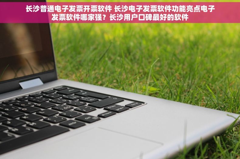长沙普通电子发票开票软件 长沙电子发票软件功能亮点电子发票软件哪家强？长沙用户口碑最好的软件