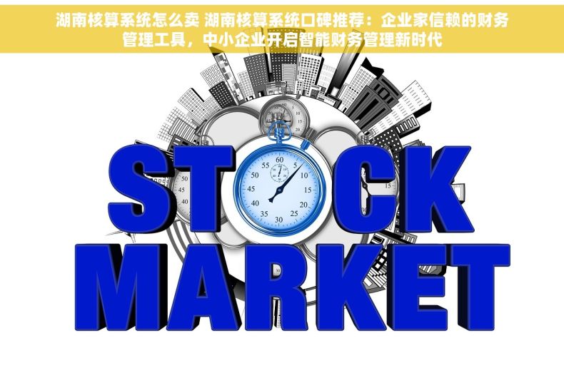 湖南核算系统怎么卖 湖南核算系统口碑推荐：企业家信赖的财务管理工具，中小企业开启智能财务管理新时代