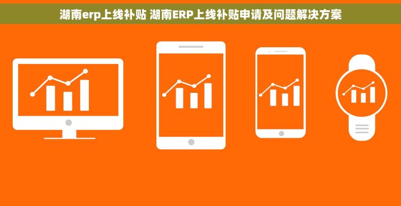 湖南erp上线补贴 湖南ERP上线补贴申请及问题解决方案