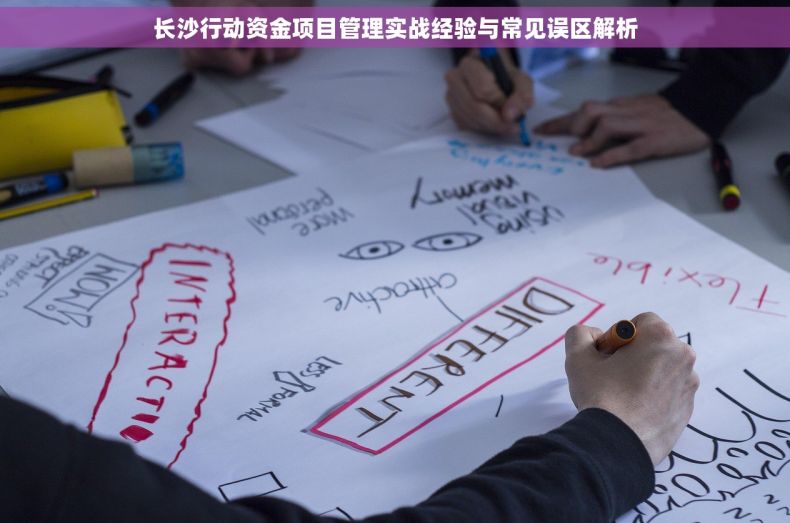 长沙行动资金项目管理实战经验与常见误区解析